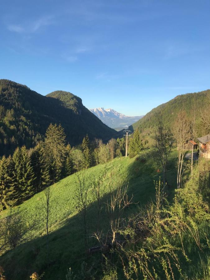 Chalet Les Trolles Les Gets Buitenkant foto